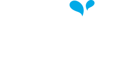 NCC Early Swimmers